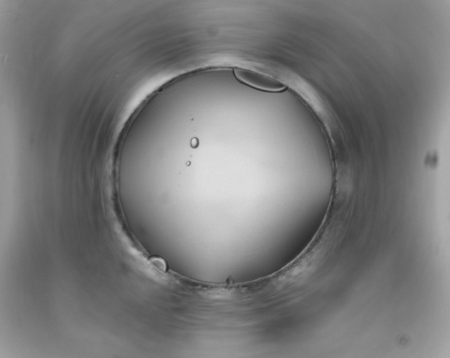 X0000091571048200709051034