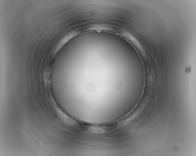 X0000091571049200709051034