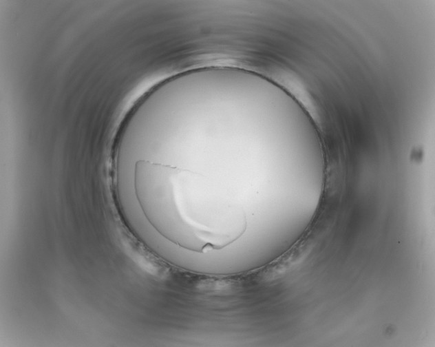 X0000091571051200709051034