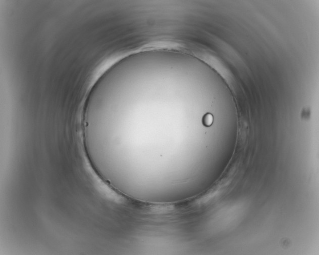 X0000091571055200709051035