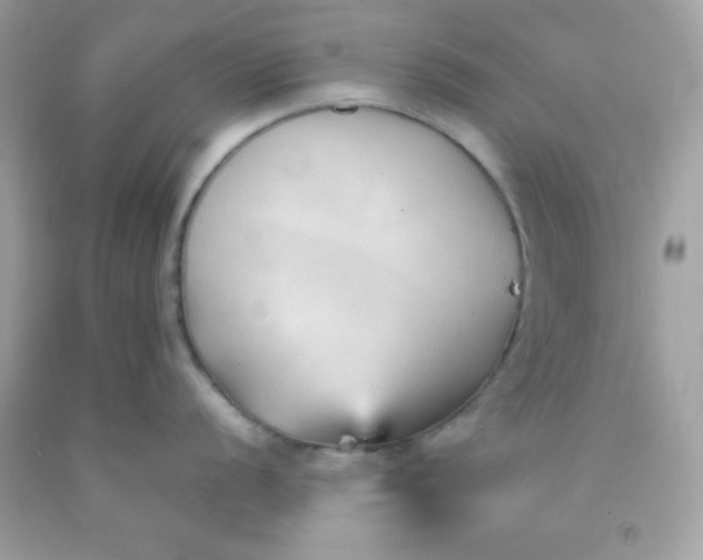 X0000091571056200709051035