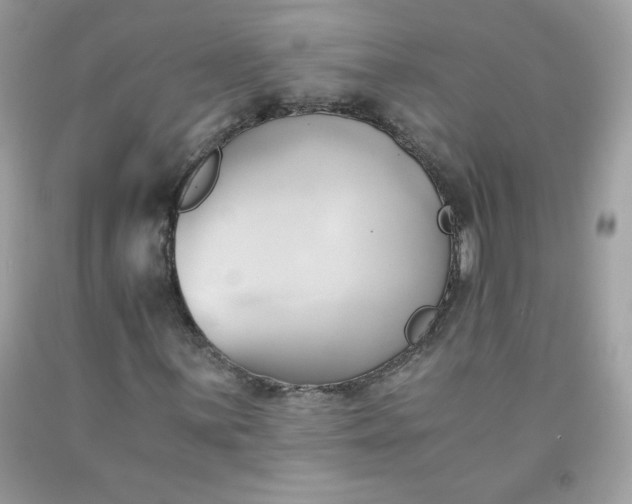 X0000091571059200709051034
