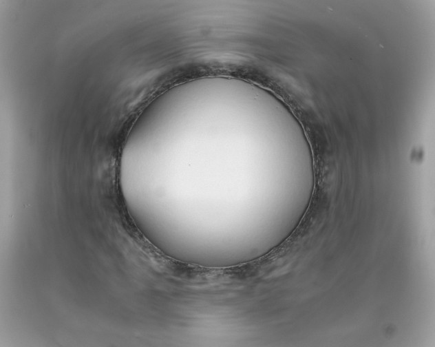 X0000091571061200709051034