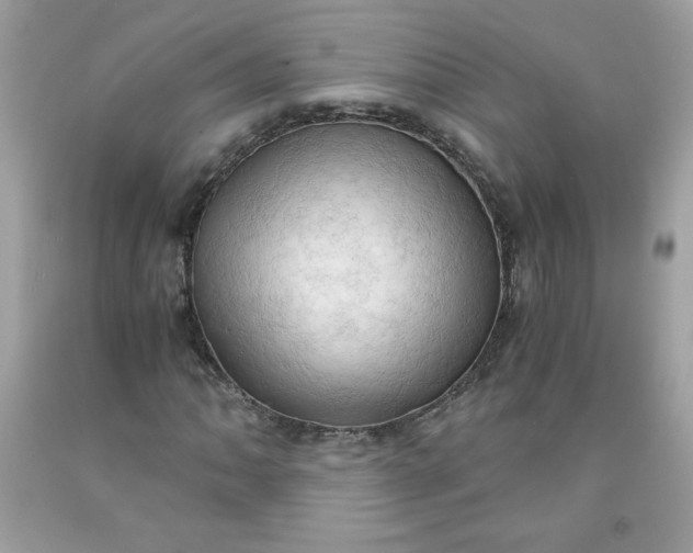 X0000091571062200709051034