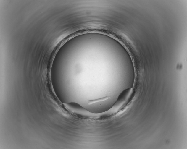 X0000091571065200709051034