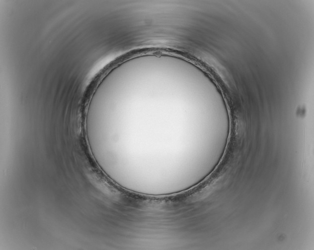 X0000091571069200709051034