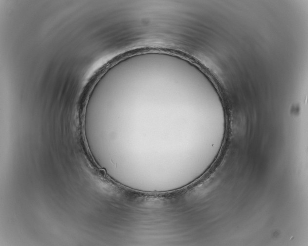 X0000091571070200709051034
