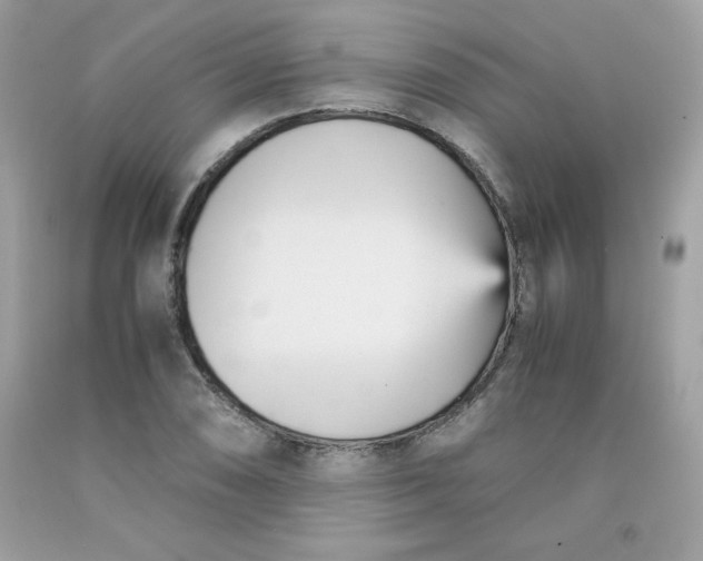 X0000091571074200709051034