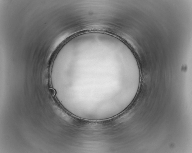 X0000091571075200709051034