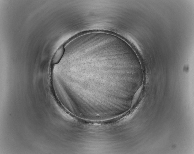 X0000091571077200709051033