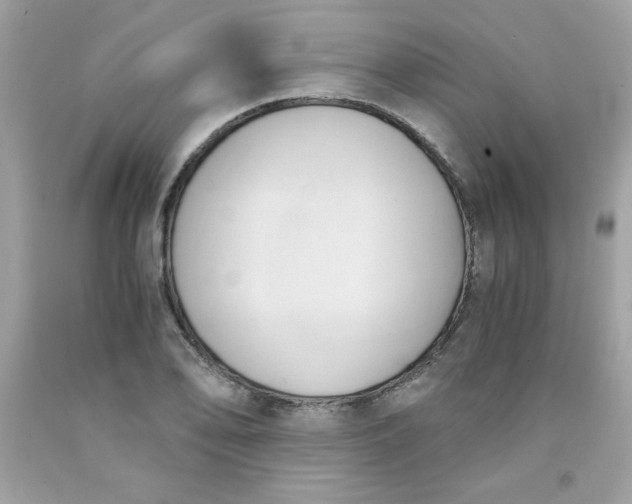 X0000091571078200709051033