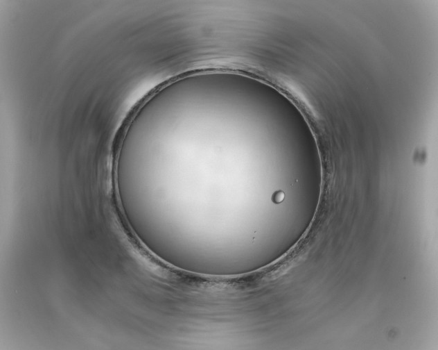 X0000091571079200709051033