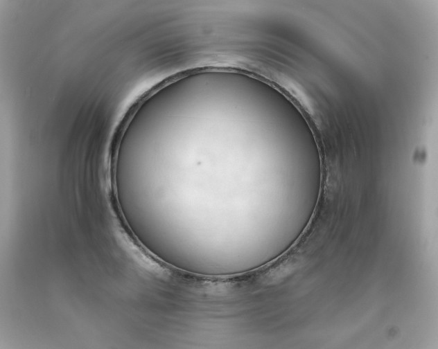 X0000091571080200709051033