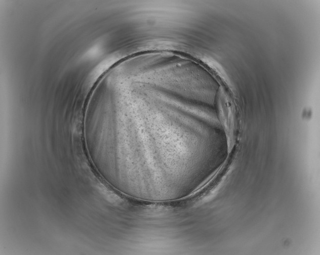 X0000091571081200709051033
