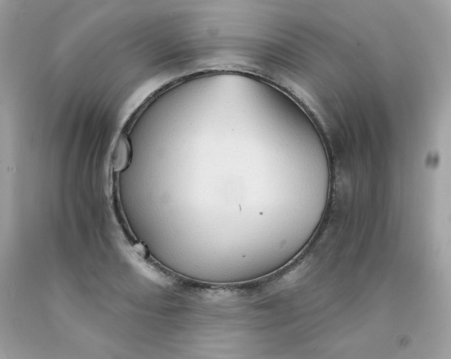 X0000091571082200709051033