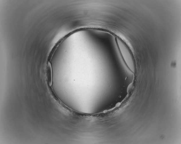 X0000091571085200709051033
