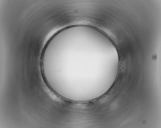 X0000091571086200709051033