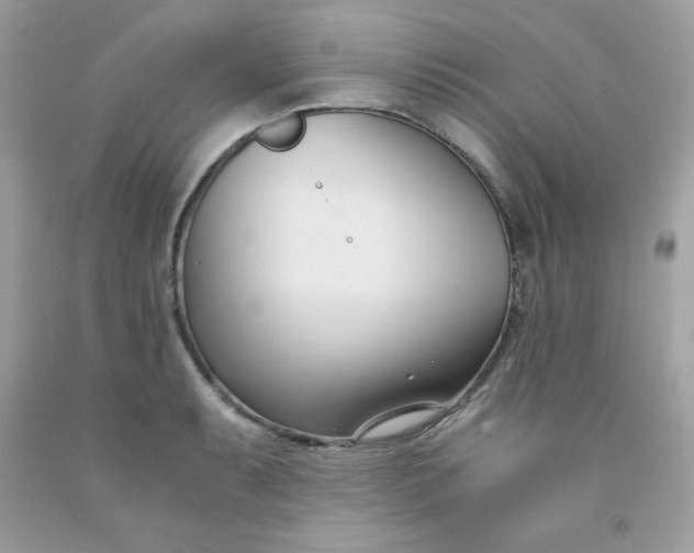 X0000091571087200709051033