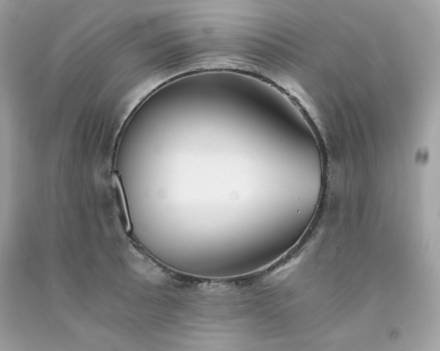 X0000091571089200709051033