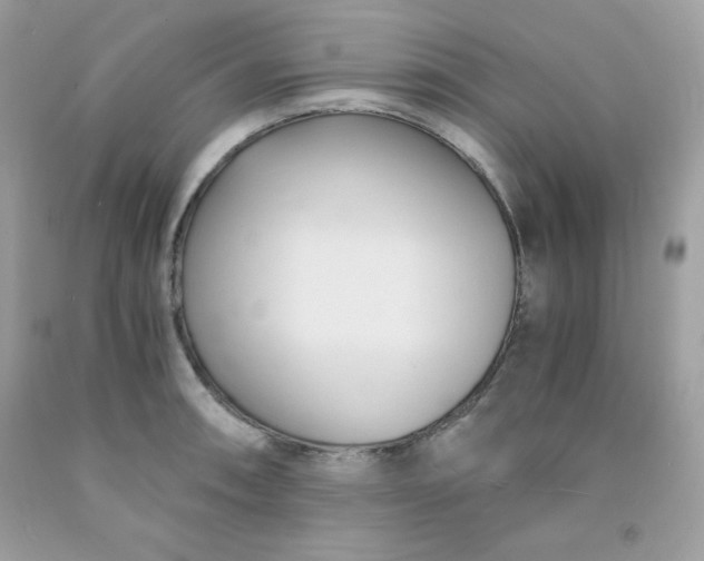 X0000091571090200709051033