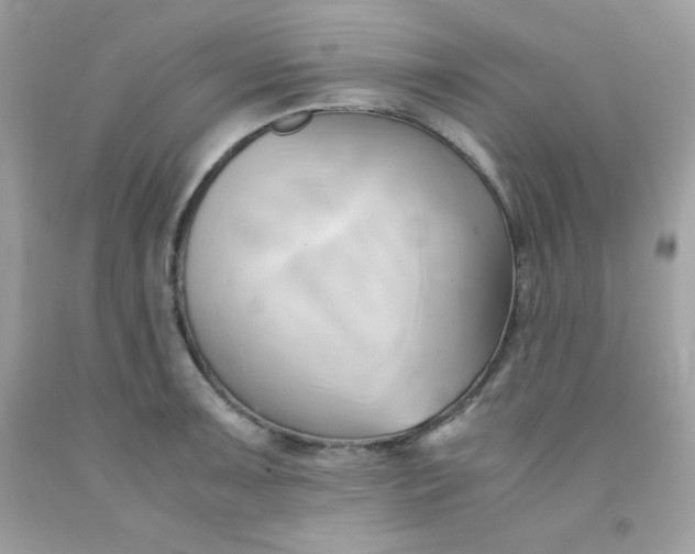 X0000091571091200709051033
