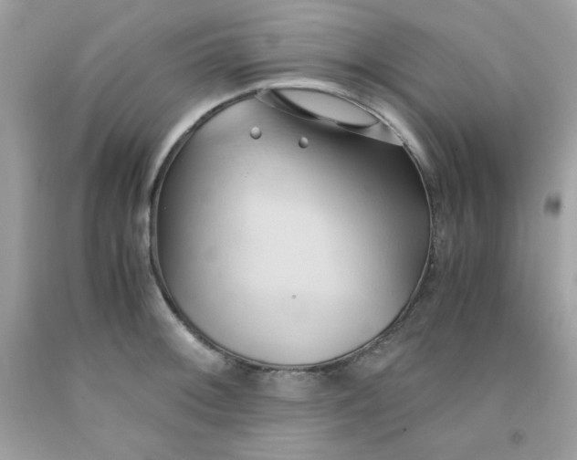 X0000091571092200709051033