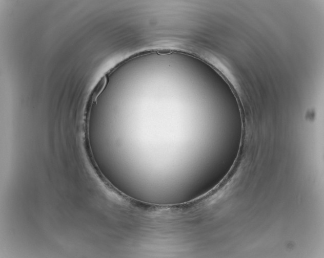 X0000091571093200709051033