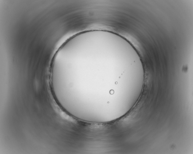 X0000091571094200709051033