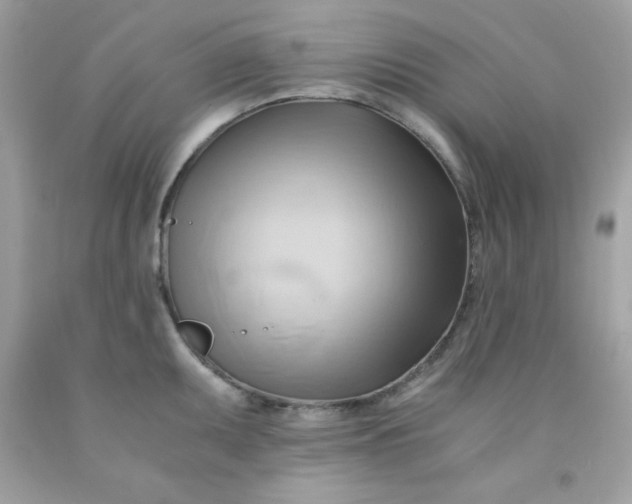 X0000091571095200709051033