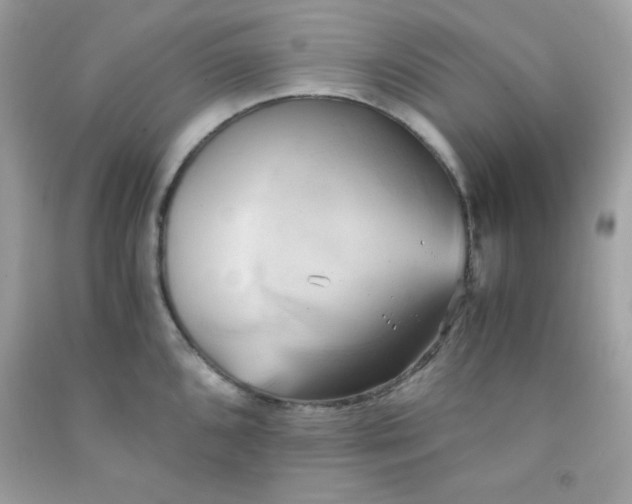 X0000091571096200709051033