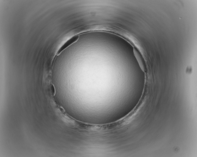 X0000091571097200709051033