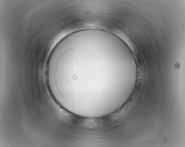 X0000091571098200709051033