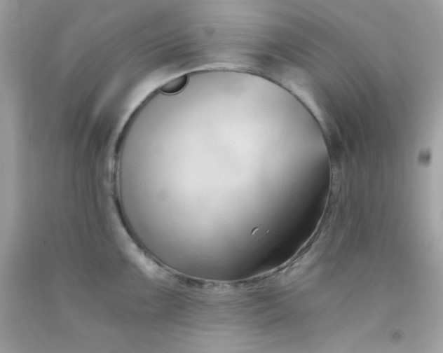 X0000091571099200709051033