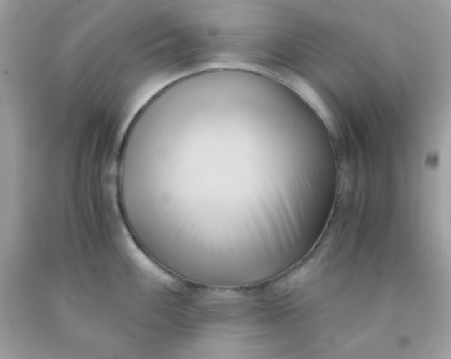X0000091571100200709051033