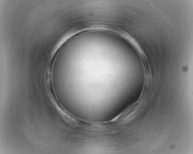 X0000091571101200709051033