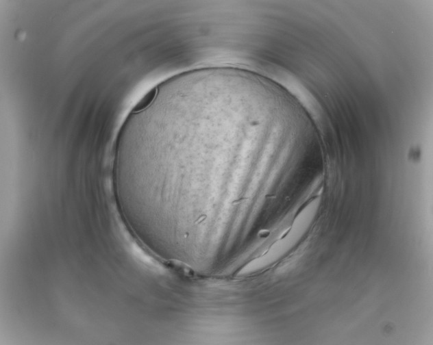X0000091571102200709051033