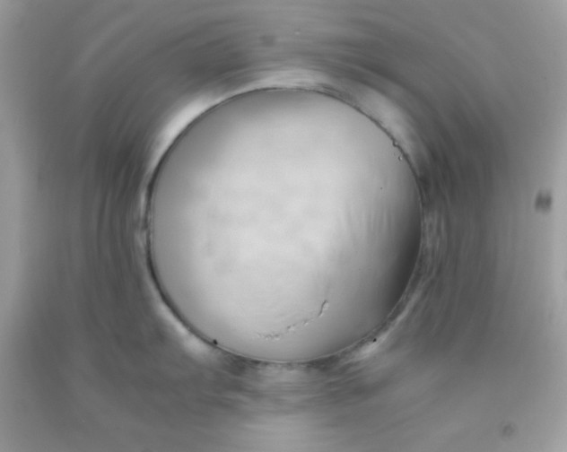 X0000091571103200709051033
