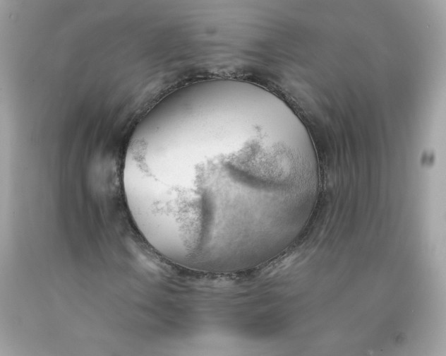X0000091571106200709051032