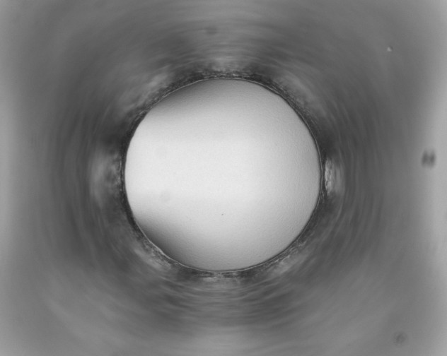 X0000091571107200709051032