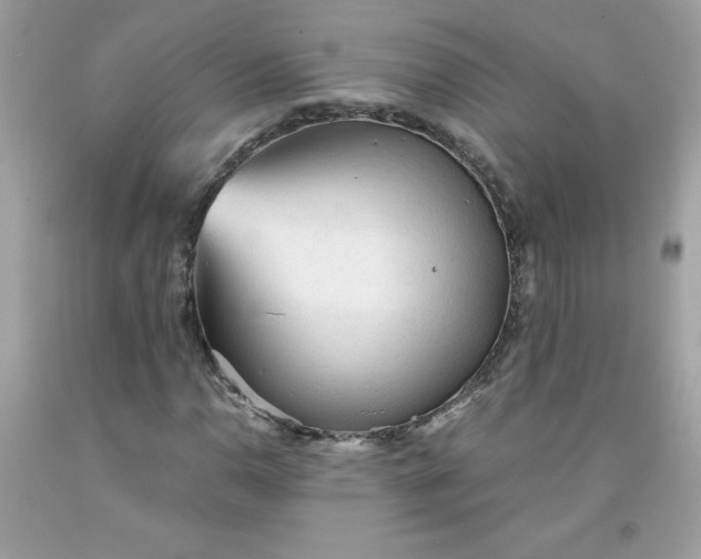 X0000091571110200709051032