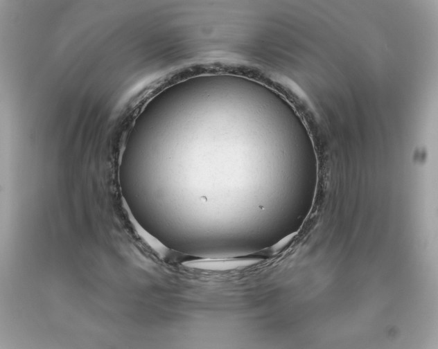 X0000091571112200709051032