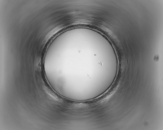 X0000091571113200709051032