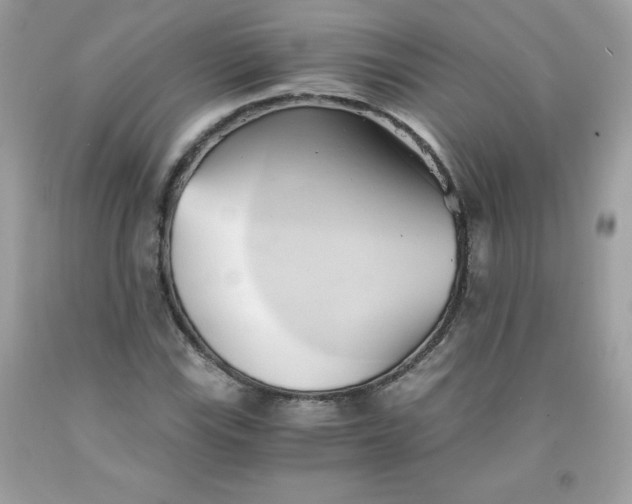 X0000091571115200709051033