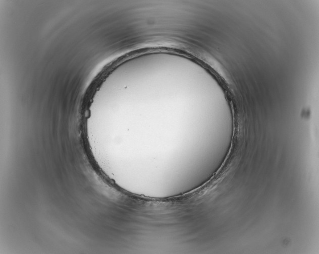 X0000091571116200709051033
