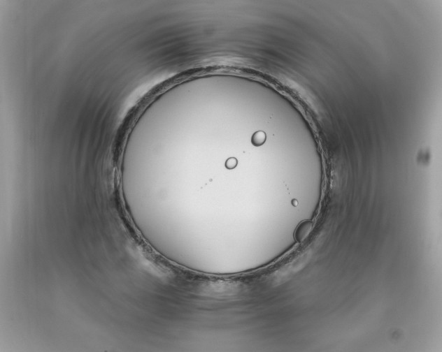 X0000091571117200709051033