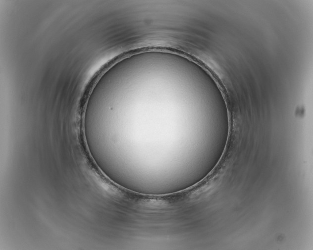 X0000091571119200709051033