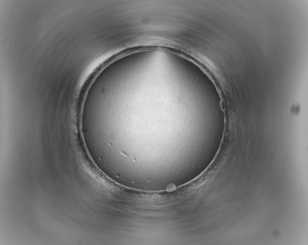 X0000091571120200709051033