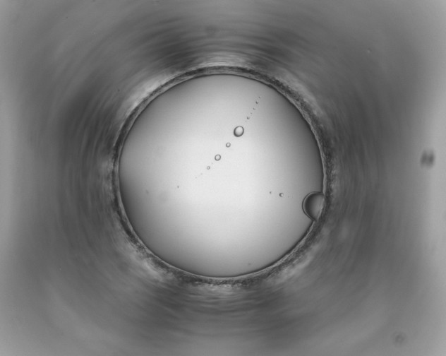 X0000091571121200709051033