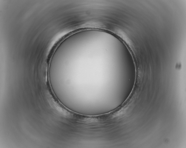 X0000091571123200709051033