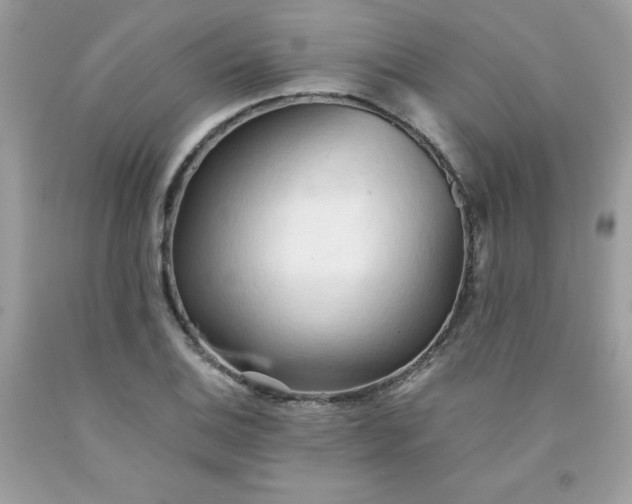 X0000091571124200709051033
